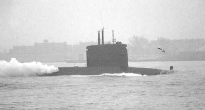 Bruinvis during trials on the Nieuwe Waterweg near Maassluis, Mar 1993