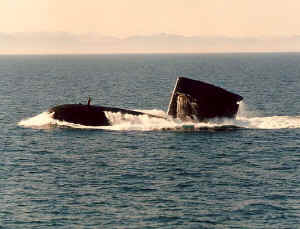 Tijgerhaai (2) surfacing off Cartagena (Spain), +/- 1989 (Photo: © Ron Warlich)