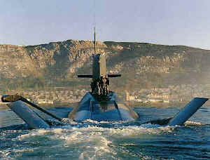 Zeeleeuw (2) (Photo: © Royal Netherlands Navy)