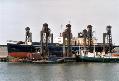 'Recent' image of Maartje (ex-Mercuur (2))&nbsp;a dry dock in Den Oever, date unknown. (Photo: &copy; Multiships) 