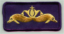 Dolphins badge (blue)